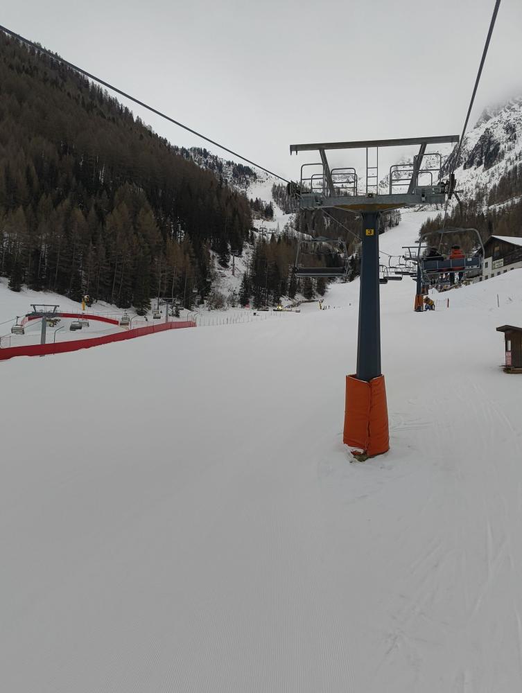 IMG202601180850508481