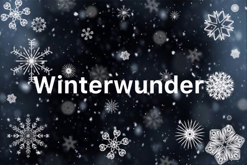 Winterwunder - das Winterfest am Gymnasium Langenhagen