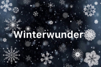 Winterwunder - das Winterfest am Gymnasium Langenhagen